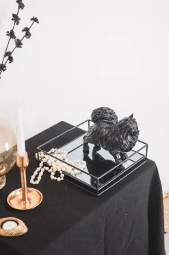 Black Pomeriaan