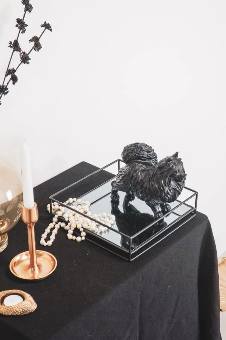 Black Pomeriaan
