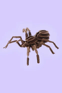 Bouwpakket 3D Papier Puzzel | Spider