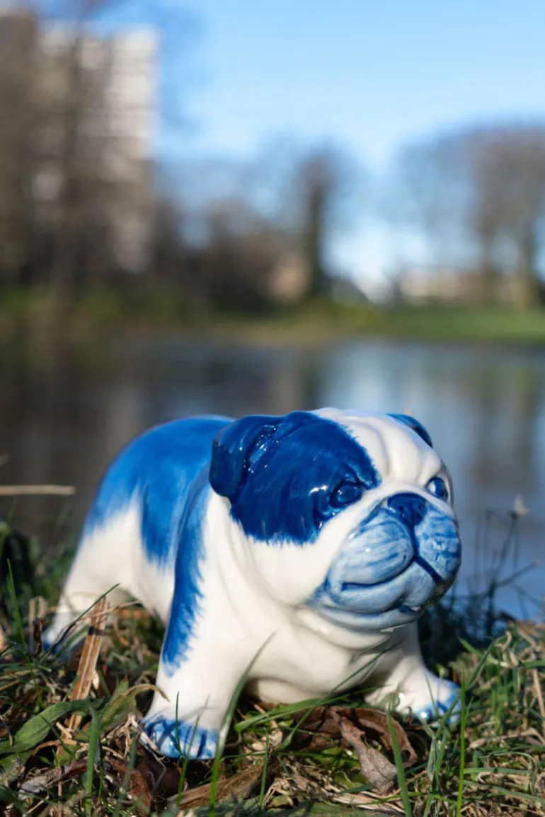 Buldog 7cm