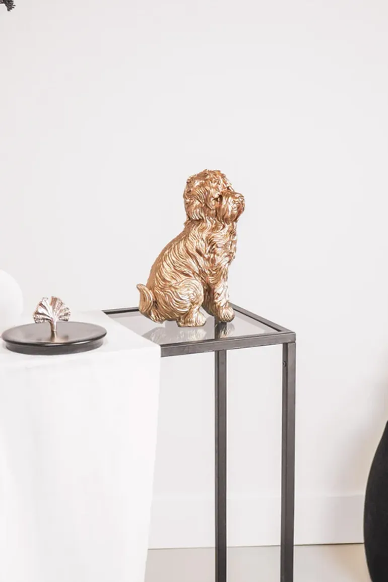Golden Labradoodle