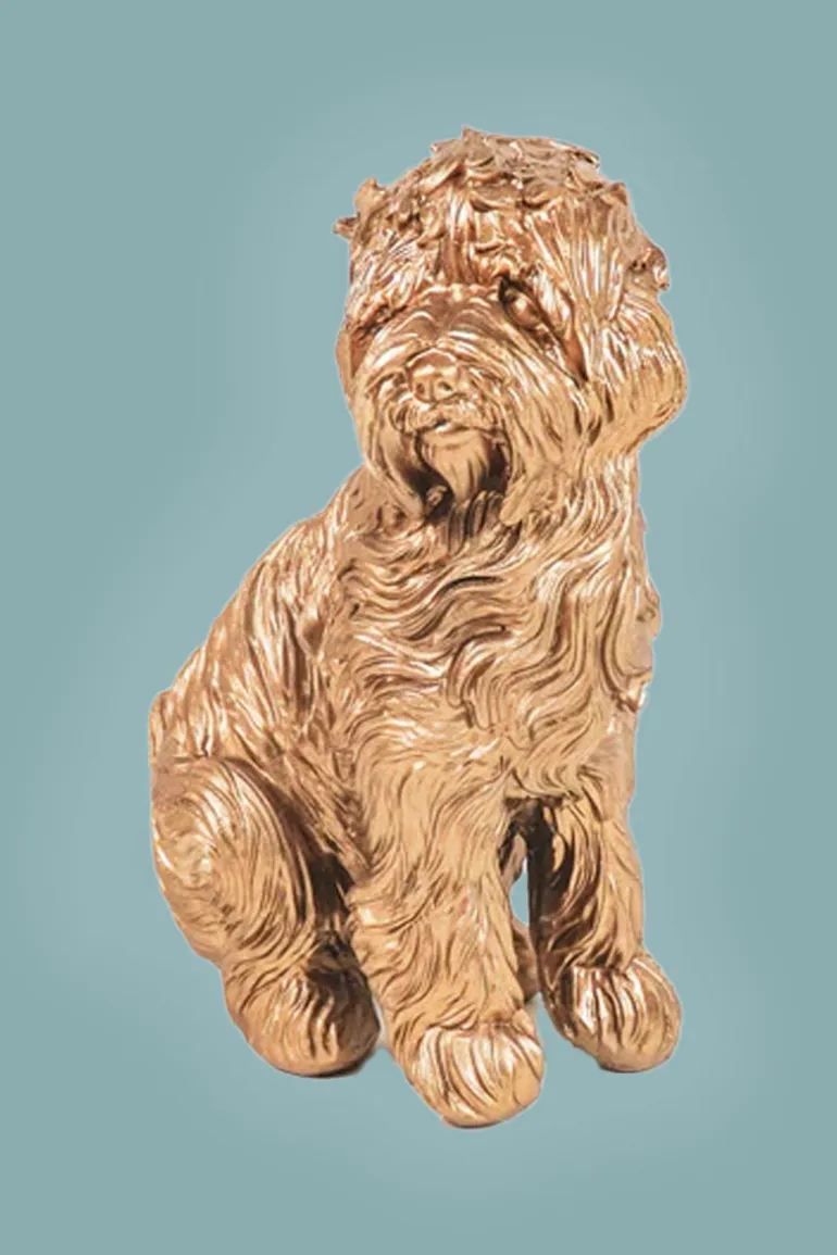Golden Labradoodle
