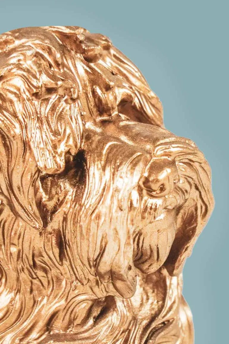Golden Labradoodle