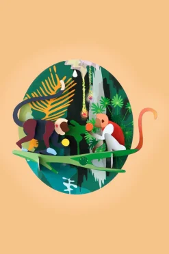 Jungle Monkeys - Studio ROOF