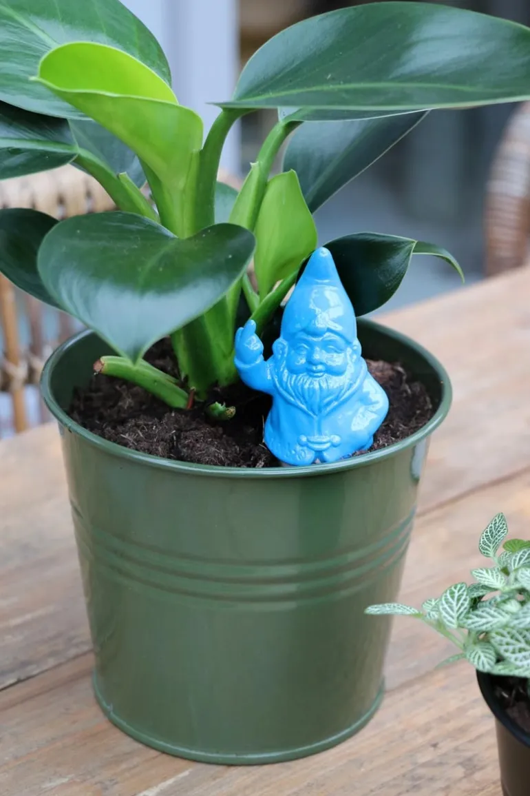 Kabouter F*ck You - Self-Watering Spike Black