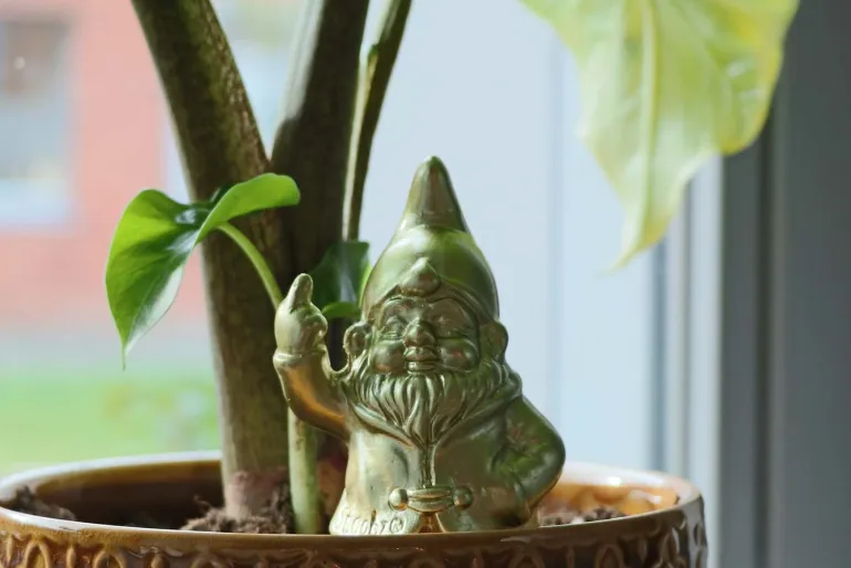 Kabouter F*ck You - Self-Watering Spike Black