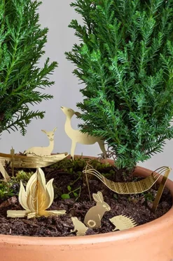 Kleine camping voor je Planten