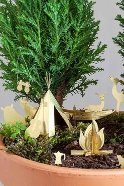 Kleine camping voor je Planten