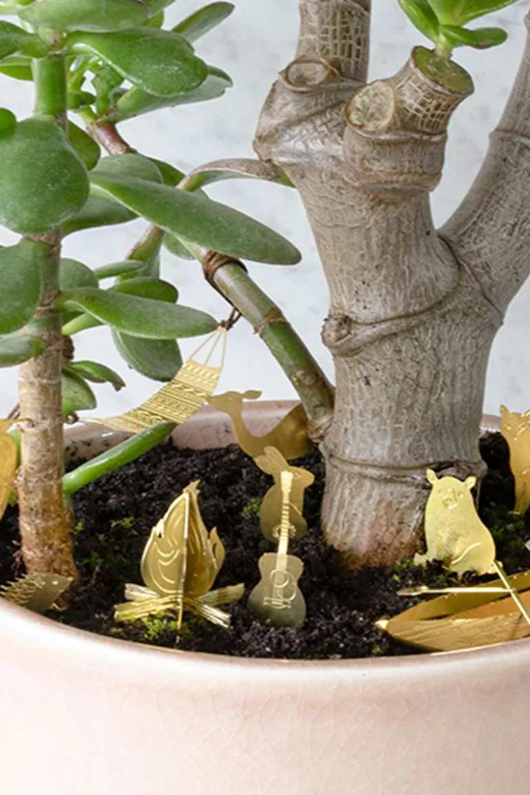 Kleine camping voor je Planten