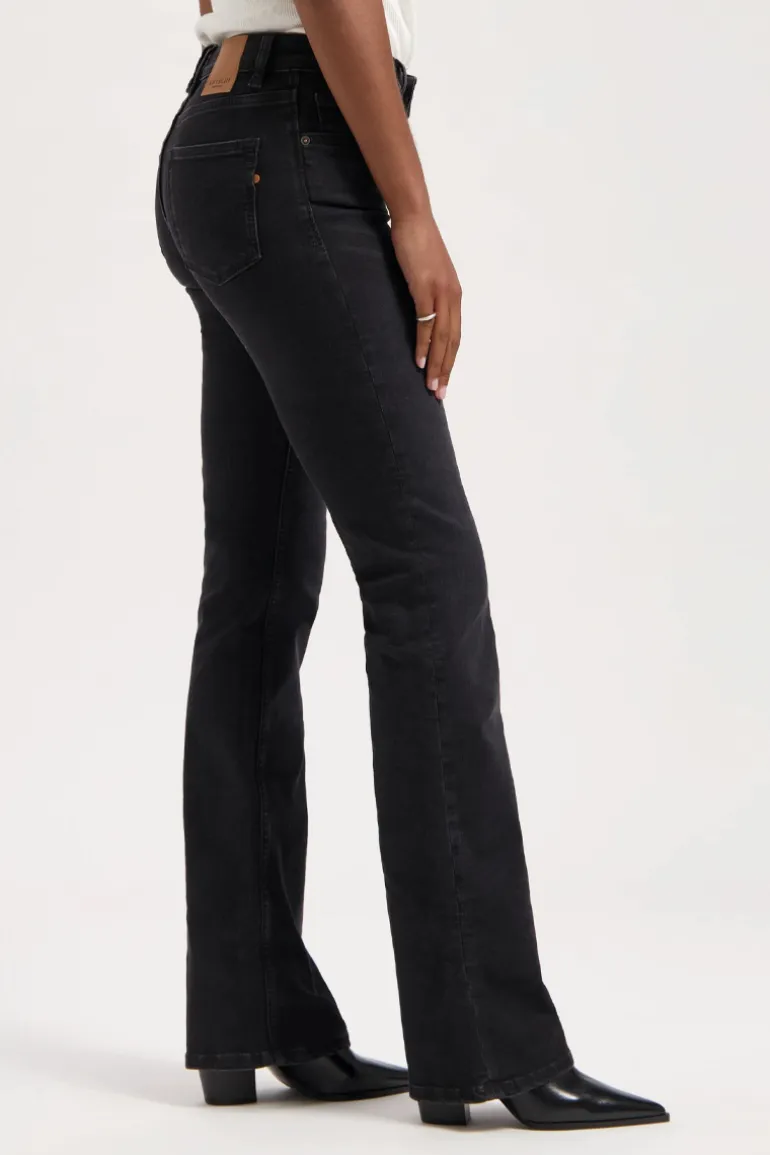 Pants Amy Bootcut Worn in Black - Kuyichi