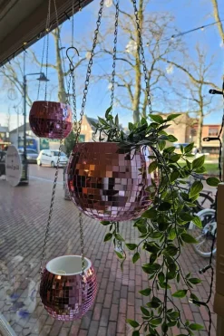 Plantenbak Discobal Rose met waterreservoir - 10 cm