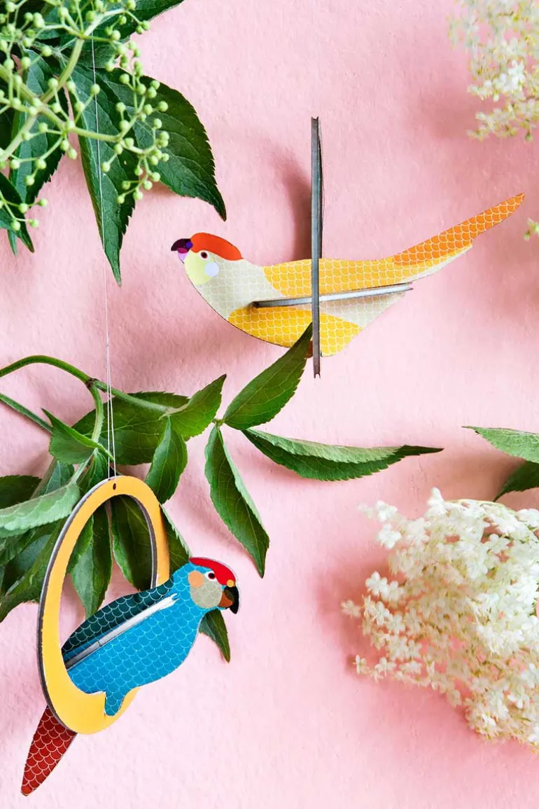 Pop Out Card Swinging Parakeets - Studio ROOF