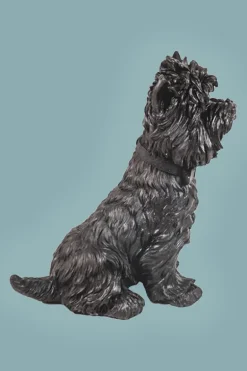 Terrier Dog Black