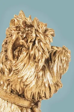 Terrier Dog Gold