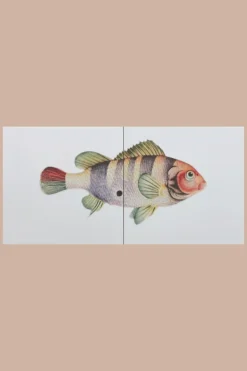 Vis Groen - Fairytiles