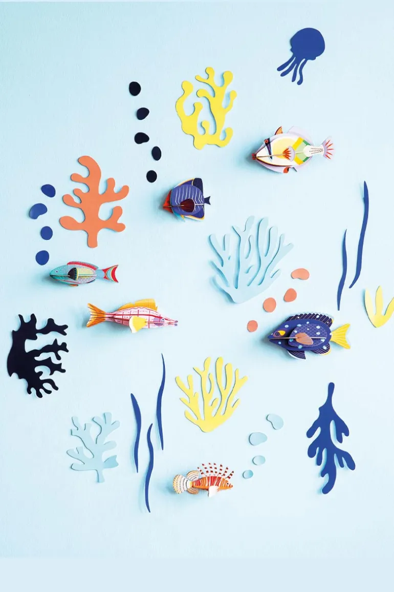 Wall of Curiosities - Fish Hobbyist - Studio ROOF