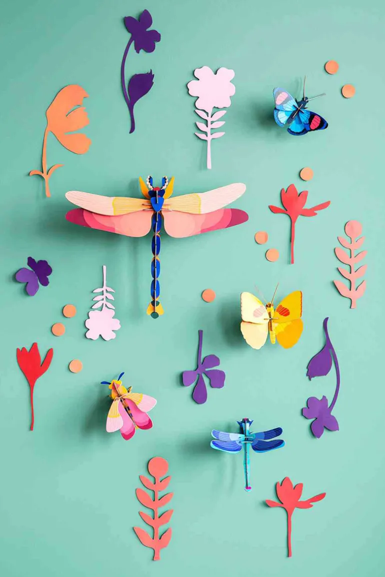 Wall of Curiosities - Insect Connoiseur - Studio ROOF